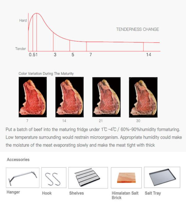 Meat Ager | MX1000 Meat Curing Cabinet 220 lb.